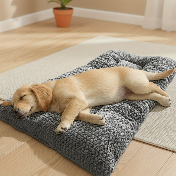 Coussin confortable pour chiens avec rembourrage doux et surface matelassée