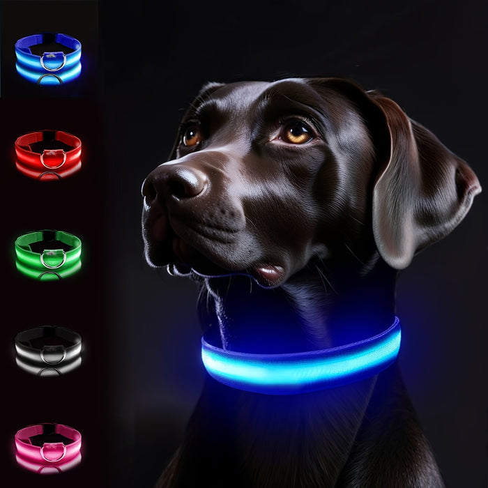 Collare per Cani a LED con Illuminazione – Visibile e Sicuro di Notte