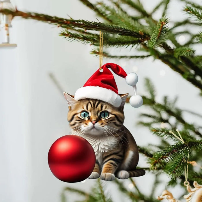 Beroemde kat en veulen duiken opnieuw op in kerststal Sint-Jan | Den Beroemde kat en veulen duiken opnieuw op in kerststal Sint-Jan | Den