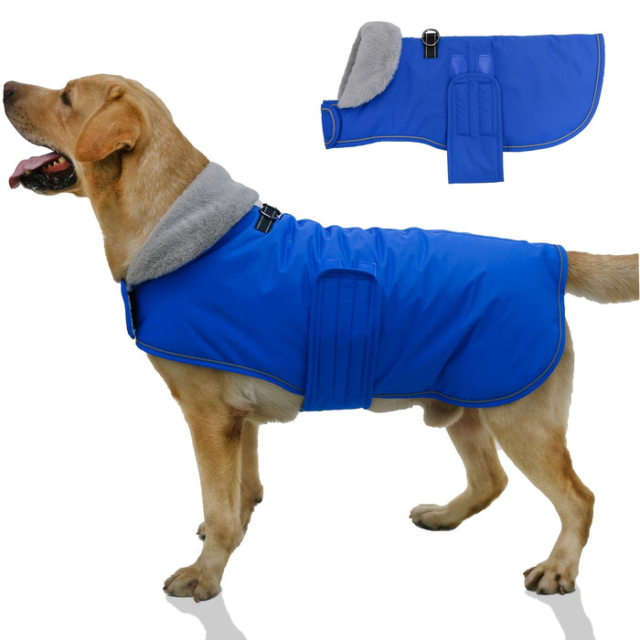 Manteau pour chien avec doublure chaude pour différentes races, usage hivernal