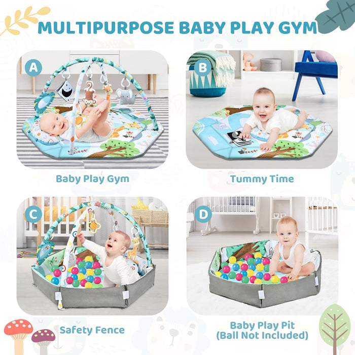 Multifunctionele Baby Speelmat voor Ontwikkeling en Spel met Speelbogen en Ballenbak