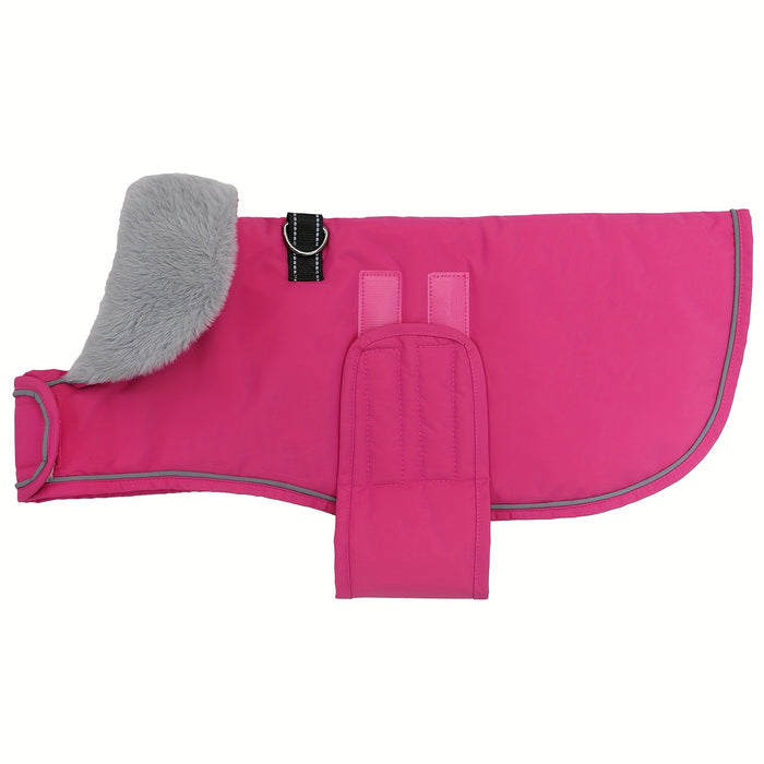 Manteau pour chien avec doublure chaude pour différentes races, usage hivernal