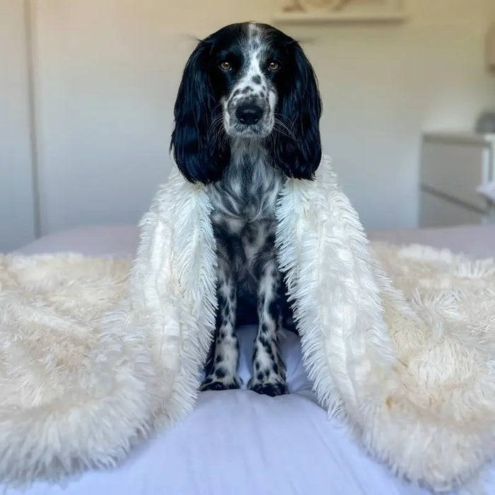 Plaid per Cani in Pile con Fibre Morbide – Comfort e Sicurezza per i Cani