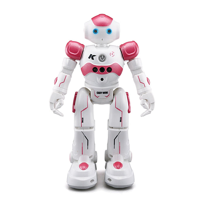 Interactieve Robot met Gebarenbediening – Educatief en Leuk voor Kinderen