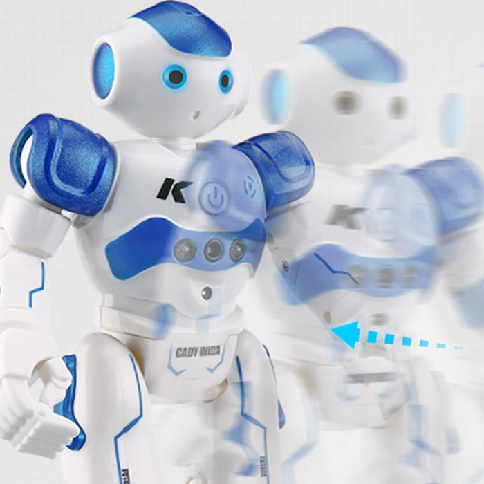 Interactieve Robot met Gebarenbediening – Educatief en Leuk voor Kinderen