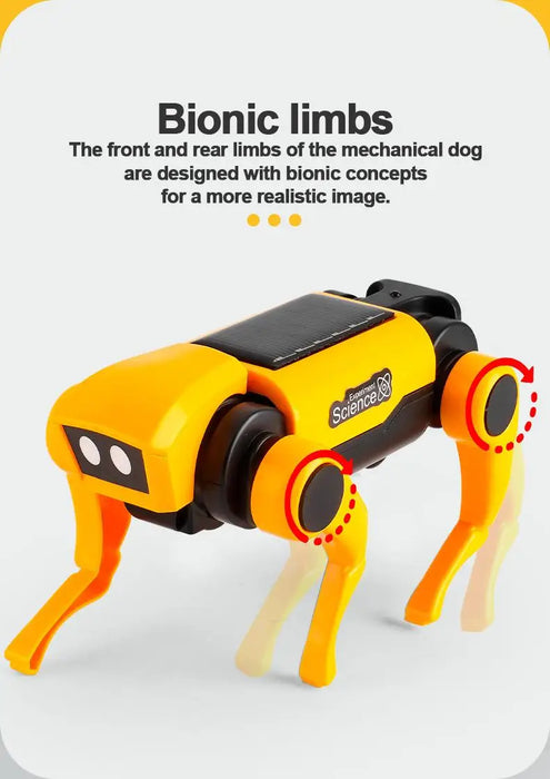 Educatieve Zonne-energie Robot – 2-in-1 Hond en Kat Bouwset