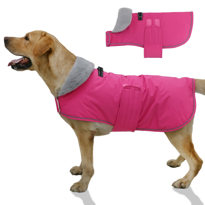 Manteau pour chien avec doublure chaude pour différentes races, usage hivernal