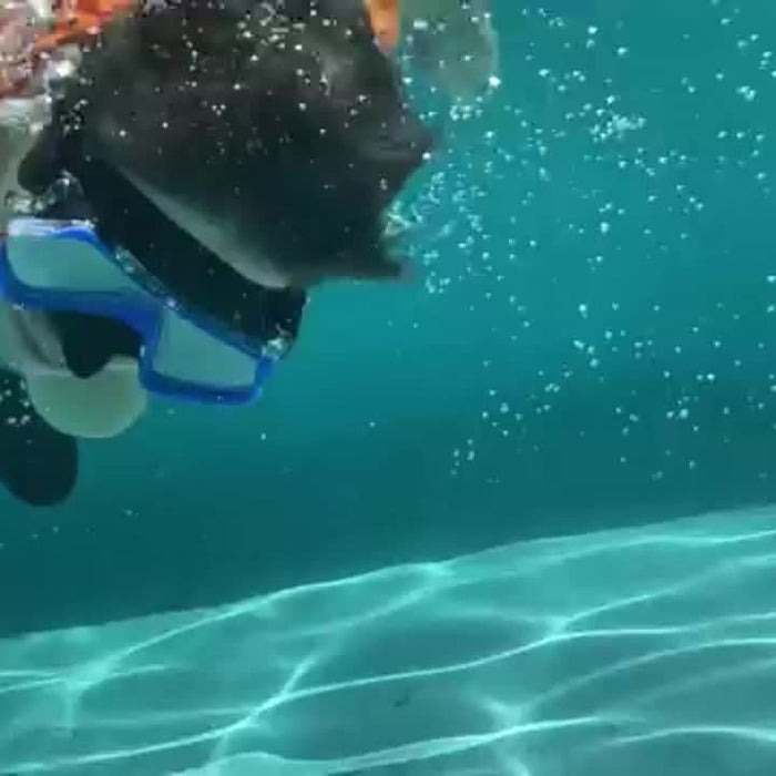 AquaClear Snorkelset – Lekvrij, Comfortabel en Met Groot Zicht