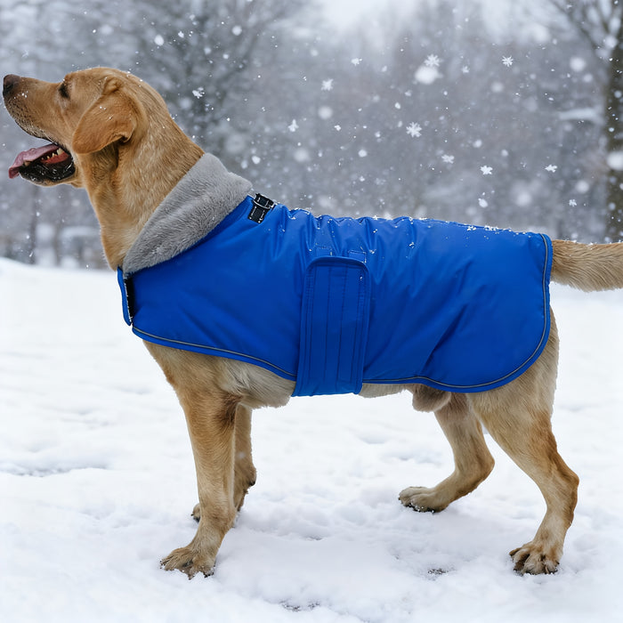 Manteau pour chien avec doublure chaude pour différentes races, usage hivernal